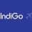 IndiGo is hiring for Executive | Any Graduate