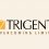 Trigent Recruitment | Technical Support Agent | BE/ B.Tech/ B.Sc/ BCA