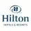 Hilton Recruitment | Marketing Executive | MBA