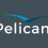 Pelican Recruitment | Software Engineer | BE/ B.Tech/ B.Sc.Comp/ M.Sc.Comp