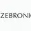Zebronics Recruitment | Test Engineer | Diploma/ Any Degree