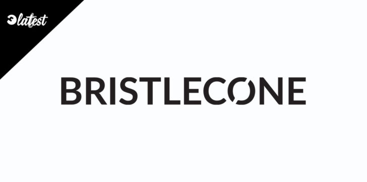 Bristlecone