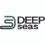 DeepSeas Recruitment | Cyber Security Analyst | Bachelor’s Degree
